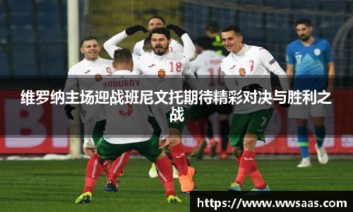 熊猫体育维罗纳主场迎战班尼文托期待精彩对决与胜利之战